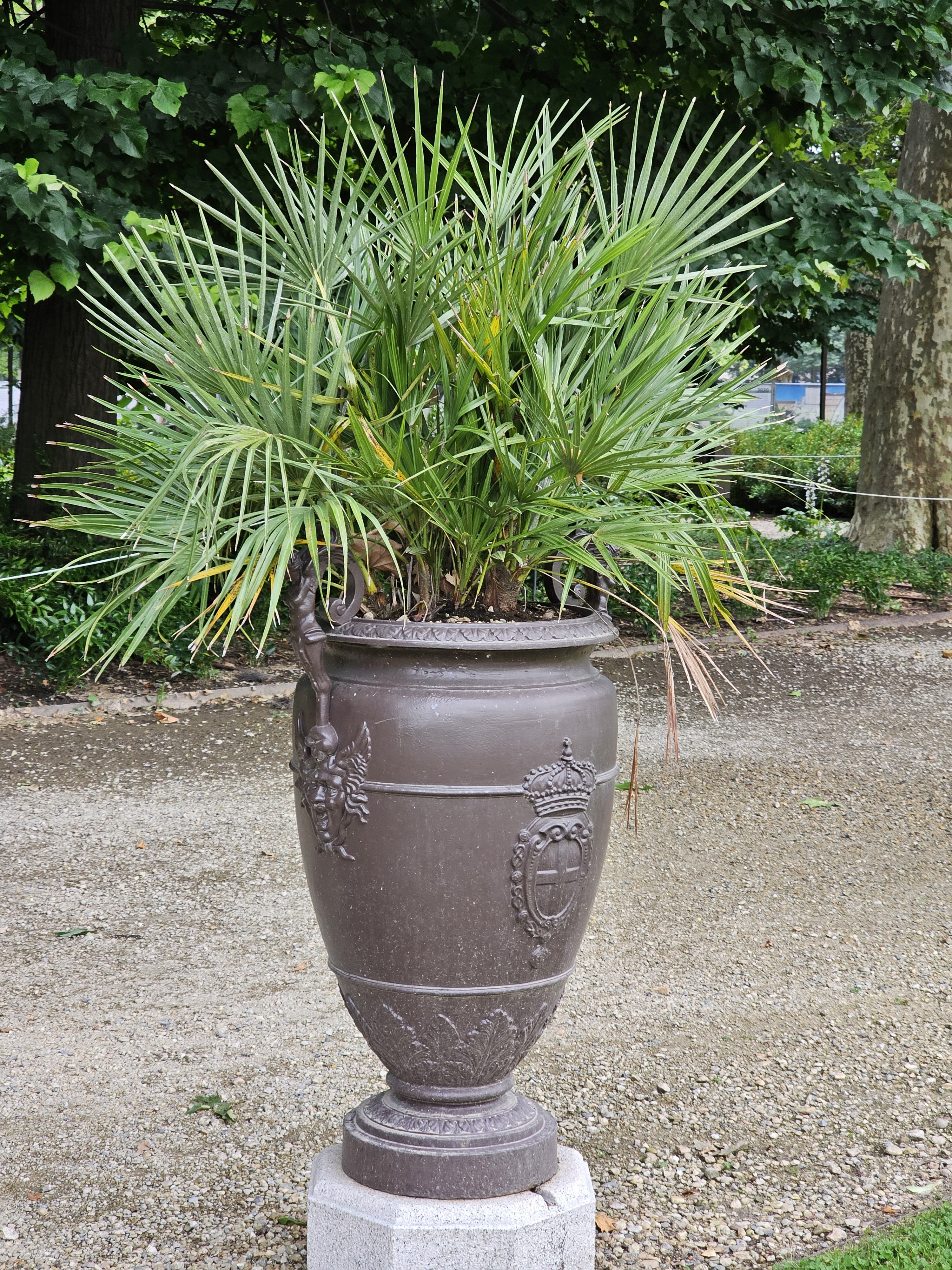 A European fan palm planted in a large, ornate, dark-colored vase. The vase features a decorative design with a coat of arms of the House of Savoy and is placed on a square stone pedestal. Captured from the Royal Gardens (Giardini Reali) at the Royal Palace of Turin.
