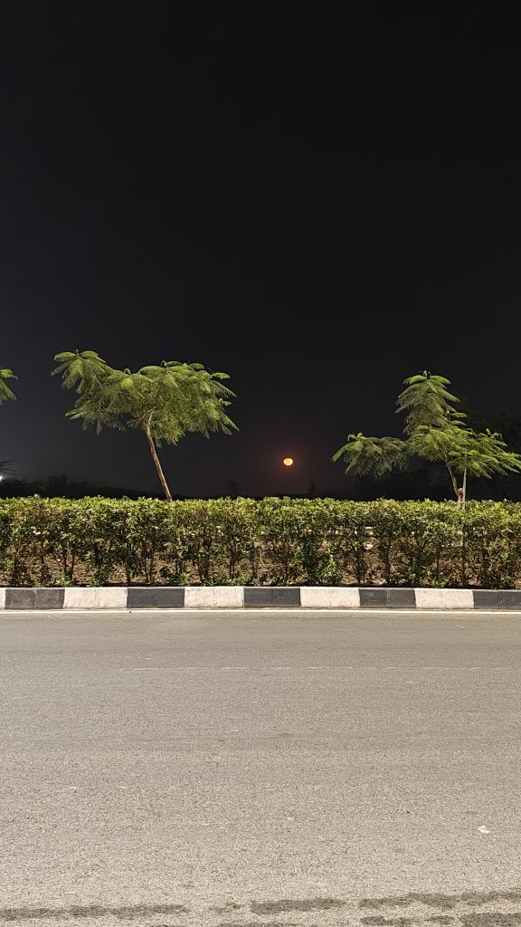 A nighttime scene with a street in the foreground, featuring a black-and-white curb. Behind the curb, there is a row of low hedges and several thin trees with sparse foliage.