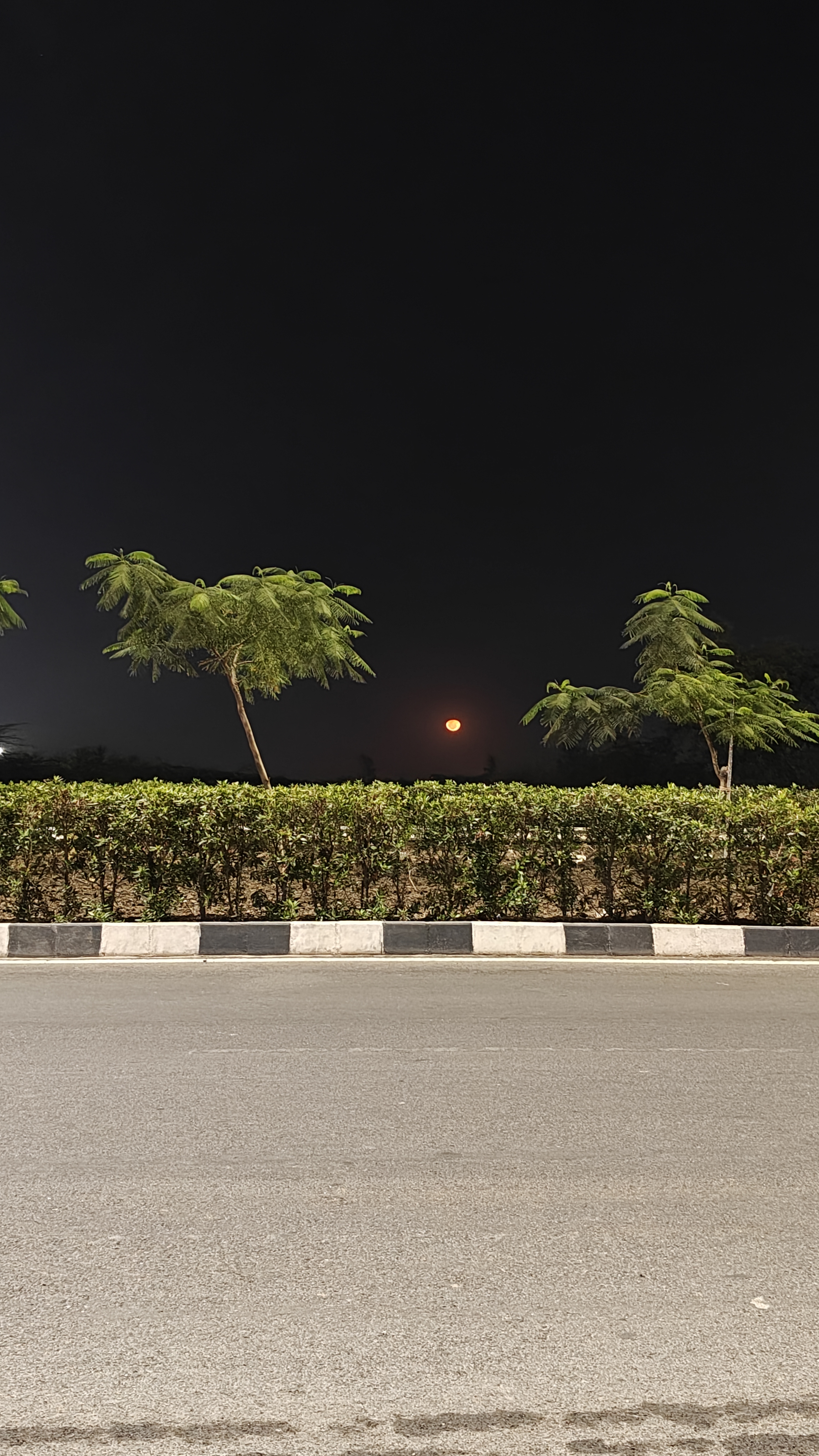 A nighttime scene with a street in the foreground, featuring a black-and-white curb. Behind the curb, there is a row of low hedges and several thin trees with sparse foliage.