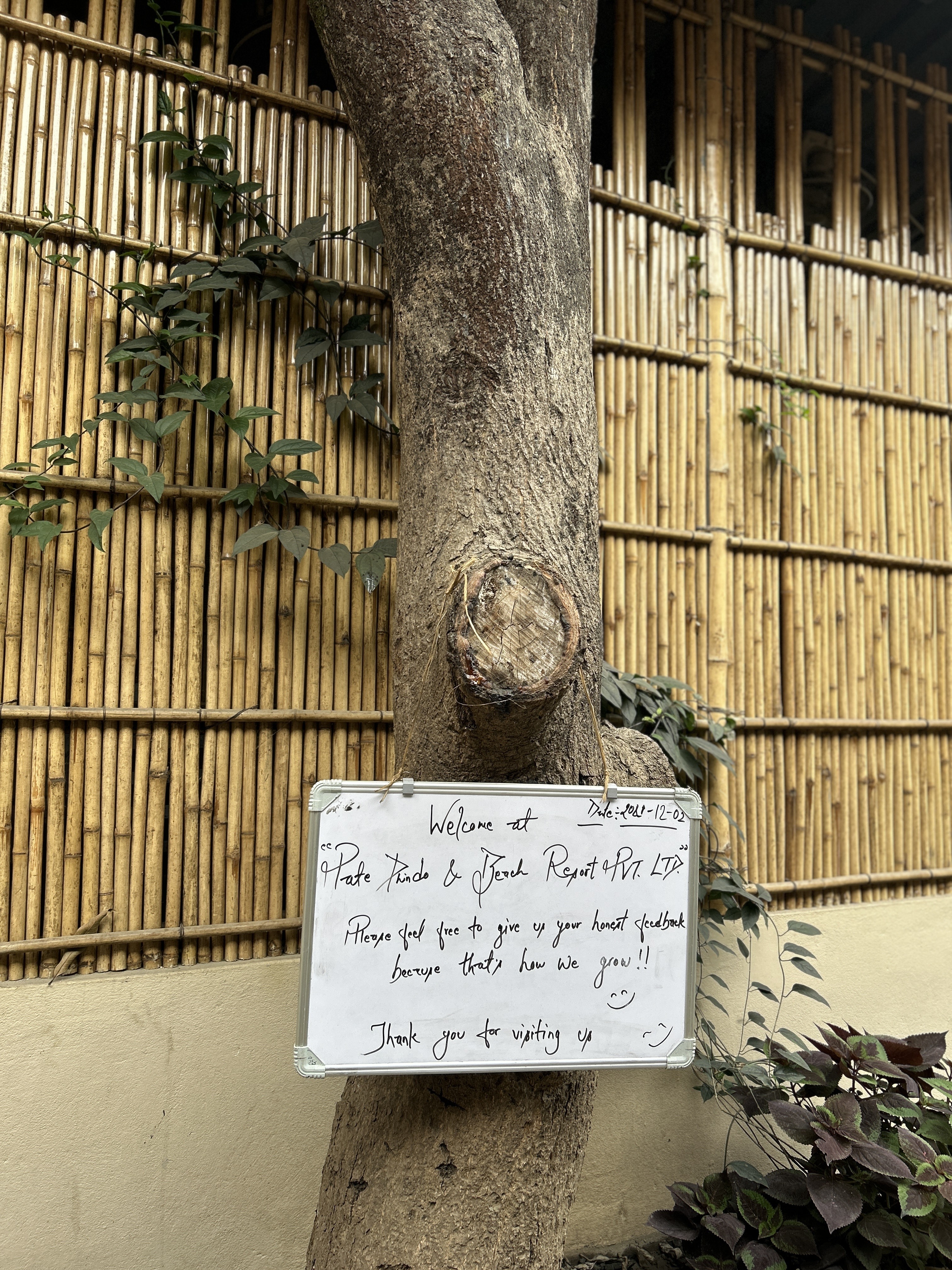 A whiteboard attached to a tree displays a handwritten welcome message in front of a bamboo wall. Surrounding the tree are leafy green plants.