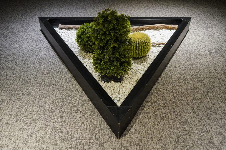 A triangular zen garden set on a carpeted floor, featuring a black frame, filled with white pebbles, a small green bush, a round cactus, and a piece of driftwood.