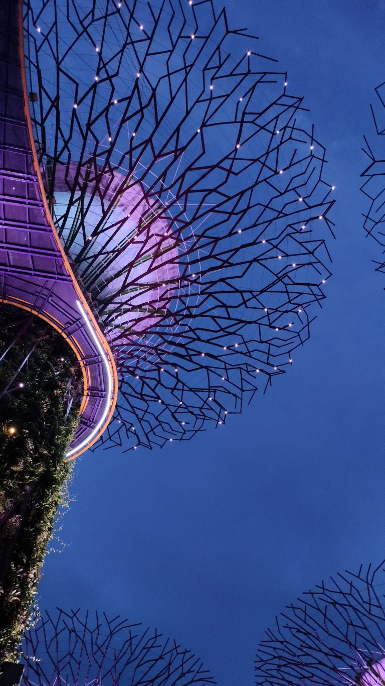 Looking up at illuminated, intricate metal structures resembling tree canopies set against a twilight sky.