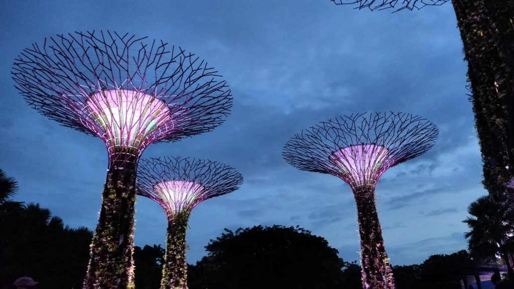 A cluster of majestic Supertrees at Gardens by the Bay, Singapore, beautifully illuminated with pink and purple hues, set against a serene evening sky, surrounded by lush greenery and tropical foliage.