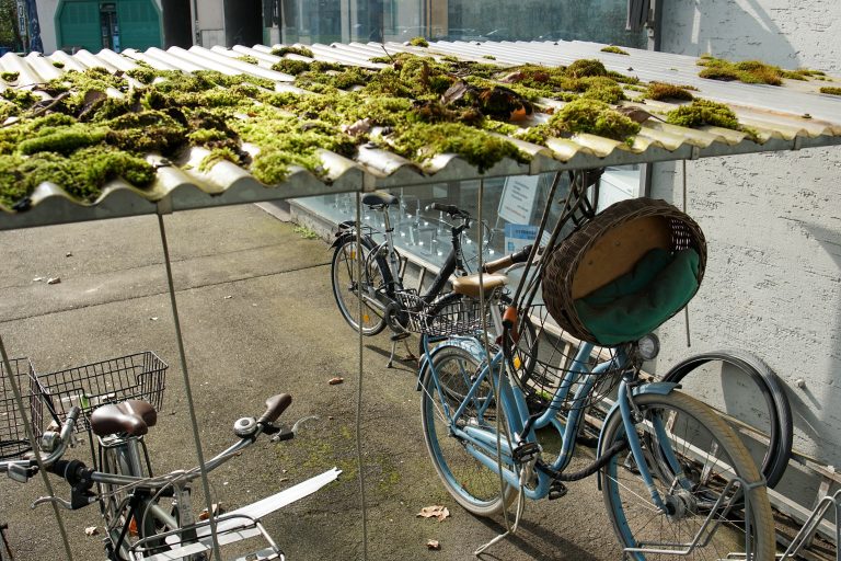 A covered bike rack featuring a corrugated roof with patches of green moss. Several bicycles with baskets are parked underneath.