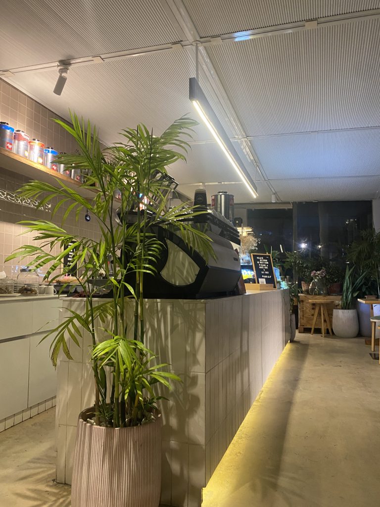 A cozy café interior with a modern design. The image features a counter with a coffee machine, potted plants on either side, and soft overhead lighting