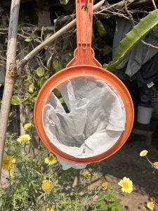 A red plastic sieve with a white mesh liner hangs from a branch in a garden. In the background, there are green leaves and yellow flowers.