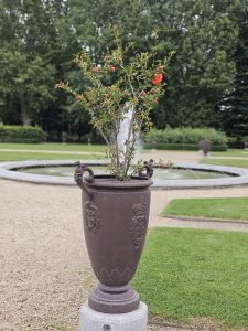 A pomegranate plant in a large, ornate pot with decorative handles and emblems, set against a backdrop of Royal Gardens (Giardini Reali) at the Royal Palace of Turin (Palazzo Reale di Torino). The pot is placed on a circular stone base, and behind it, there's a shallow, round fountain and well-manicured greenery, including trees and hedges.