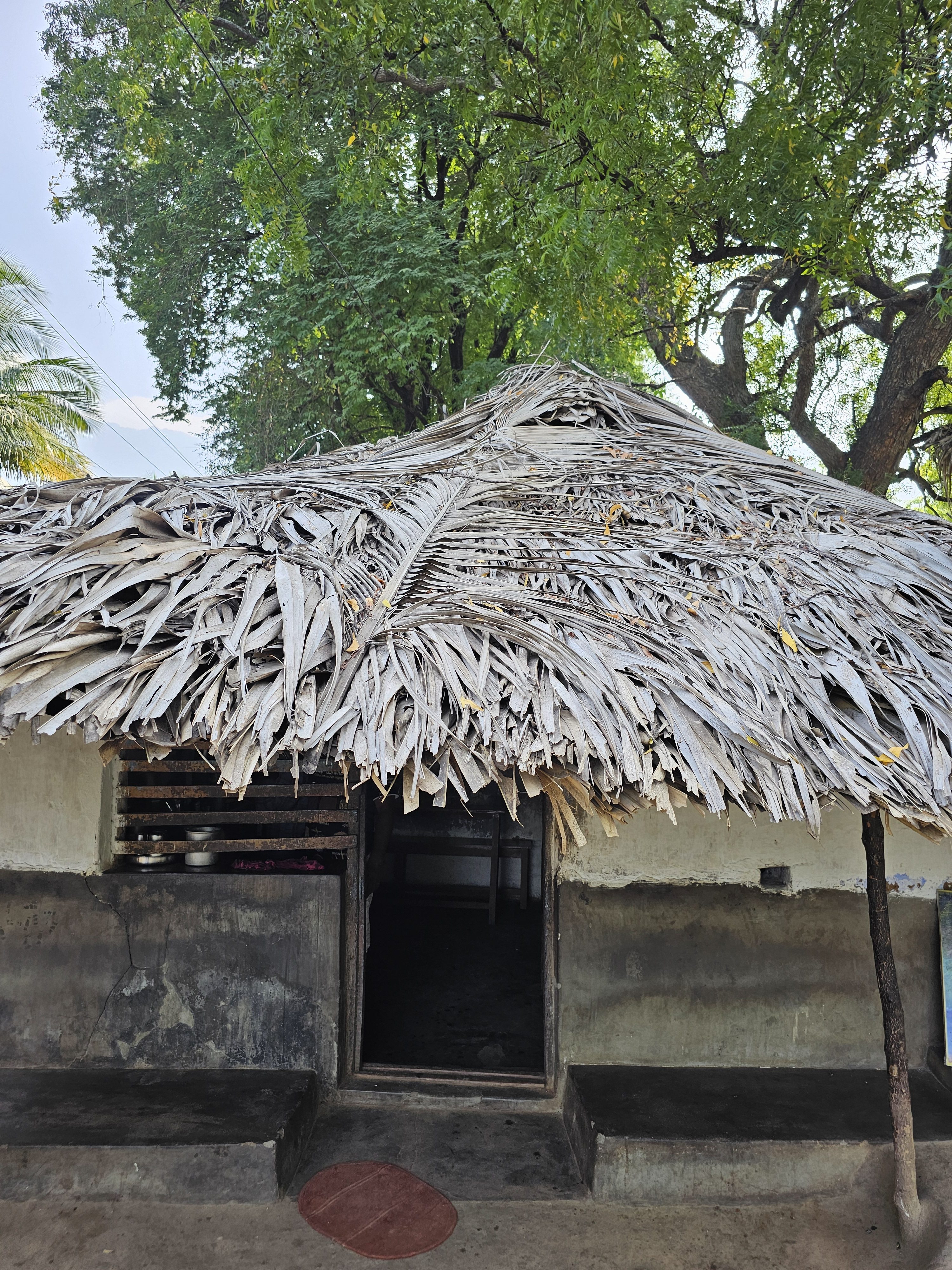 A traditional hut tea shop with a thatched roof is located in a rural area (Kollengode, Palakkad, Kerala). The hut has a simple, rustic appearance with a dark entrance and a mud exterior, and is shaded by large trees.