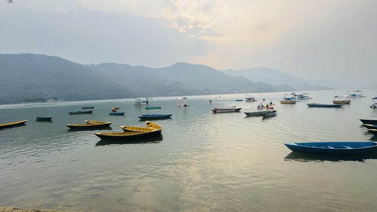 A serene fewa lake scene with multiple small boats floating on calm water. The background features misty hills under a cloudy sky, creating a tranquil atmosphere.