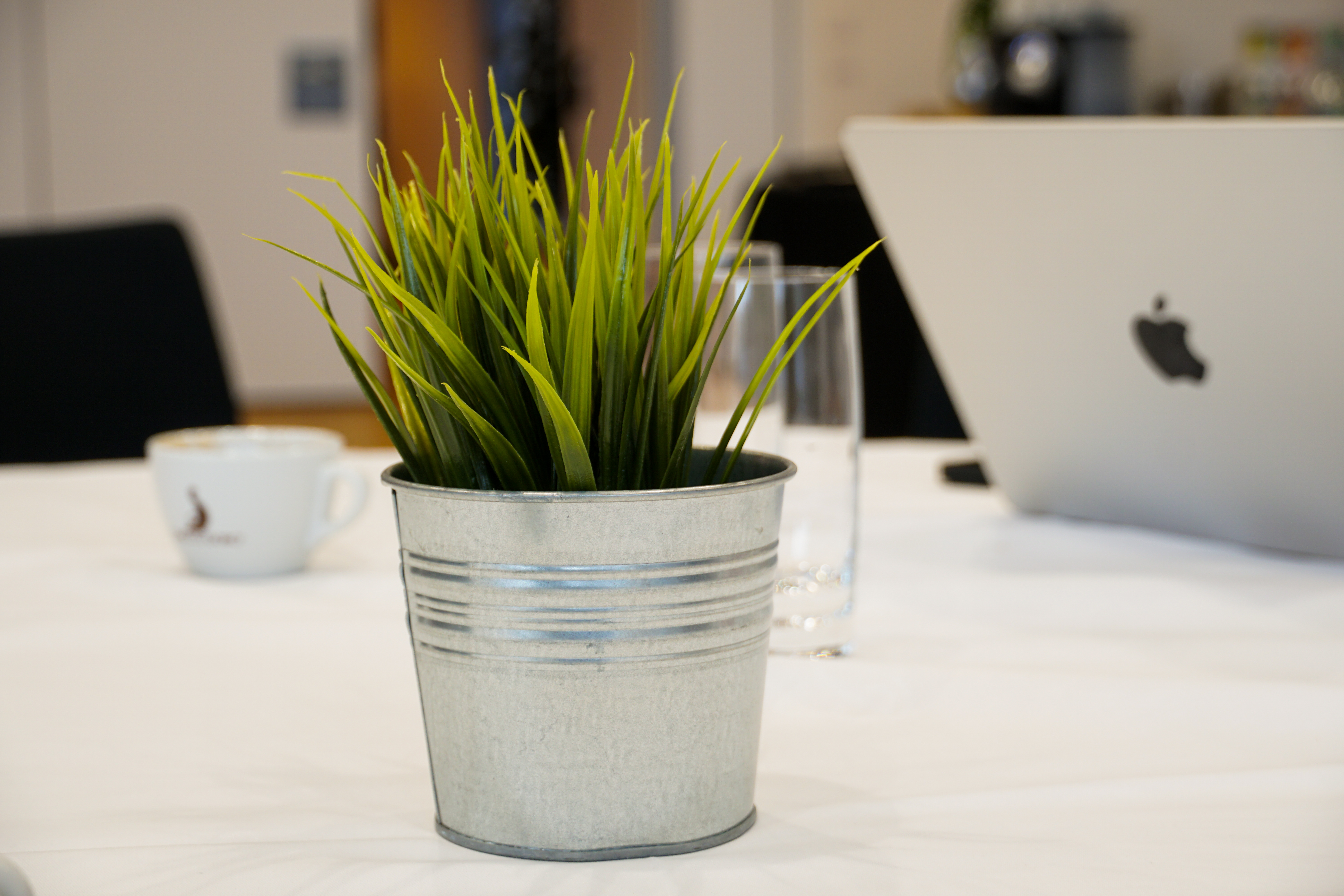 A small plastic potted plant with green grass-like leaves in a metallic container on a white tablecloth. In the background, there is a blurred white mug and an open laptop.