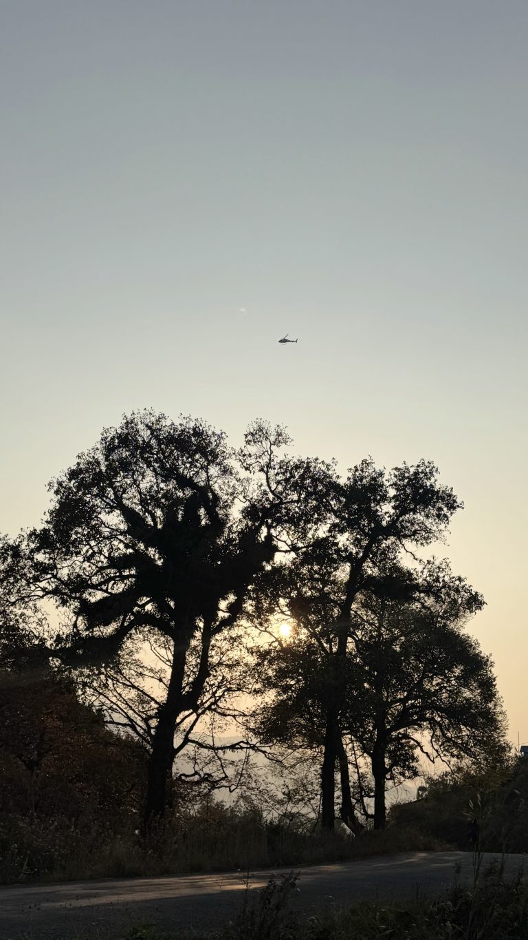 Silhouetted trees against a bright sky during sunset, with a helicopter flying above. A road is visible in the foreground.