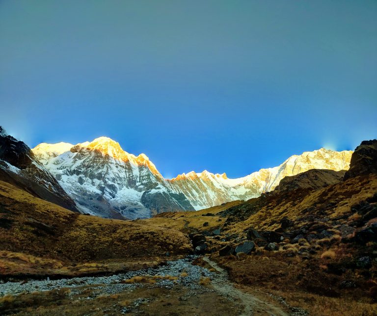 Sunrise Photo from Annapurna Mountain Ranges.
Snow-capped Annapurna mountains under a clear blue sky, with the peaks illuminated by the soft glow of sunrise. The foreground features rocky terrain and patches of dry grass.