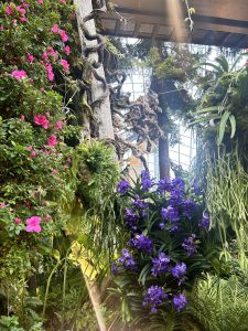 A lush indoor garden with vibrant pink and purple flowers, intertwined vines, and cascading greenery.