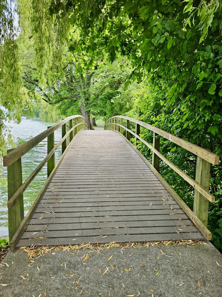 A wooden bridge surrounded by lush greenery in Kilchberg Municipality, Zurich.