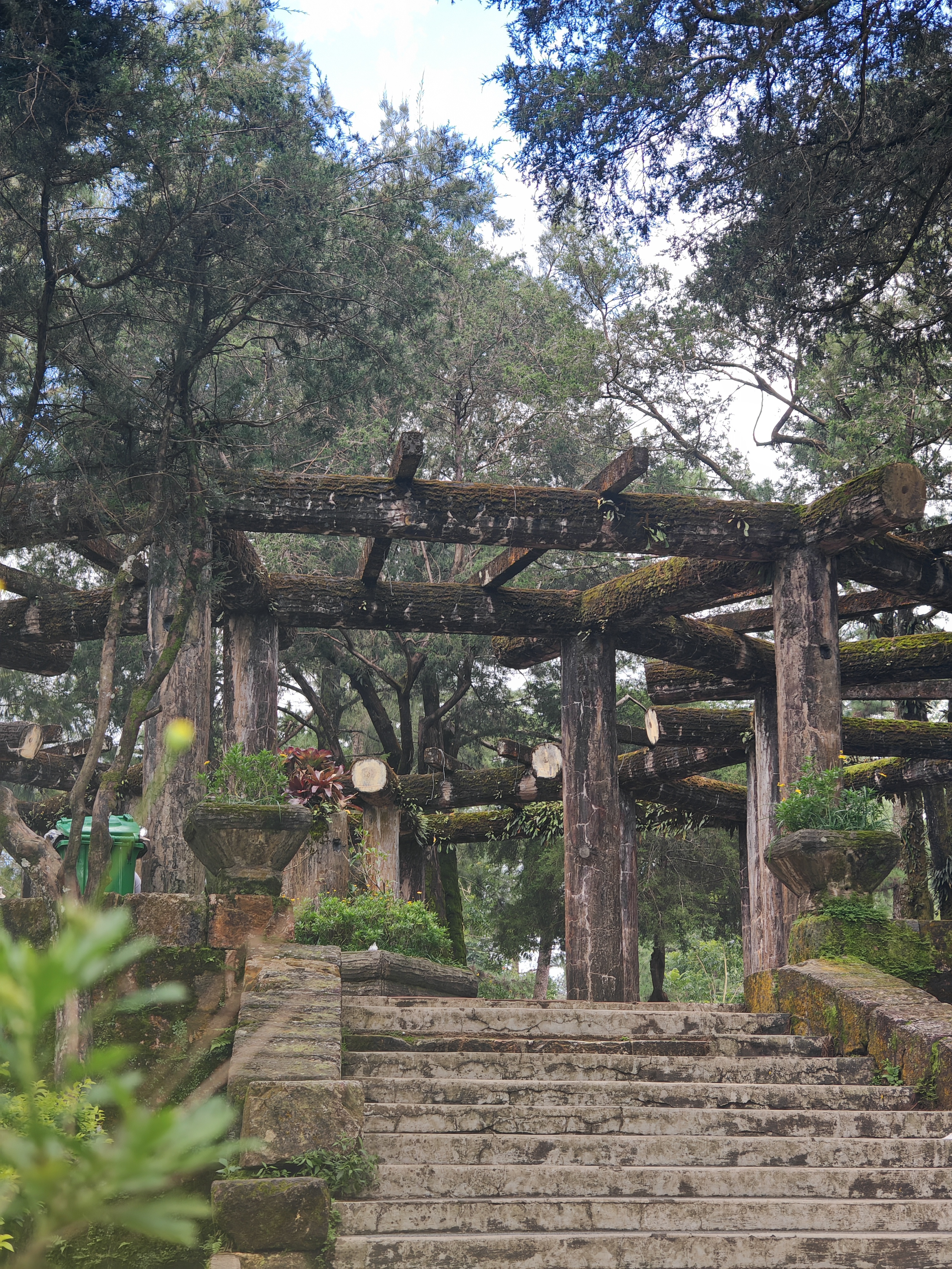 Stone steps leading up to a wooden pergola surrounded by lush greenery and tall trees. Large planters with plants are visible on either side of the steps