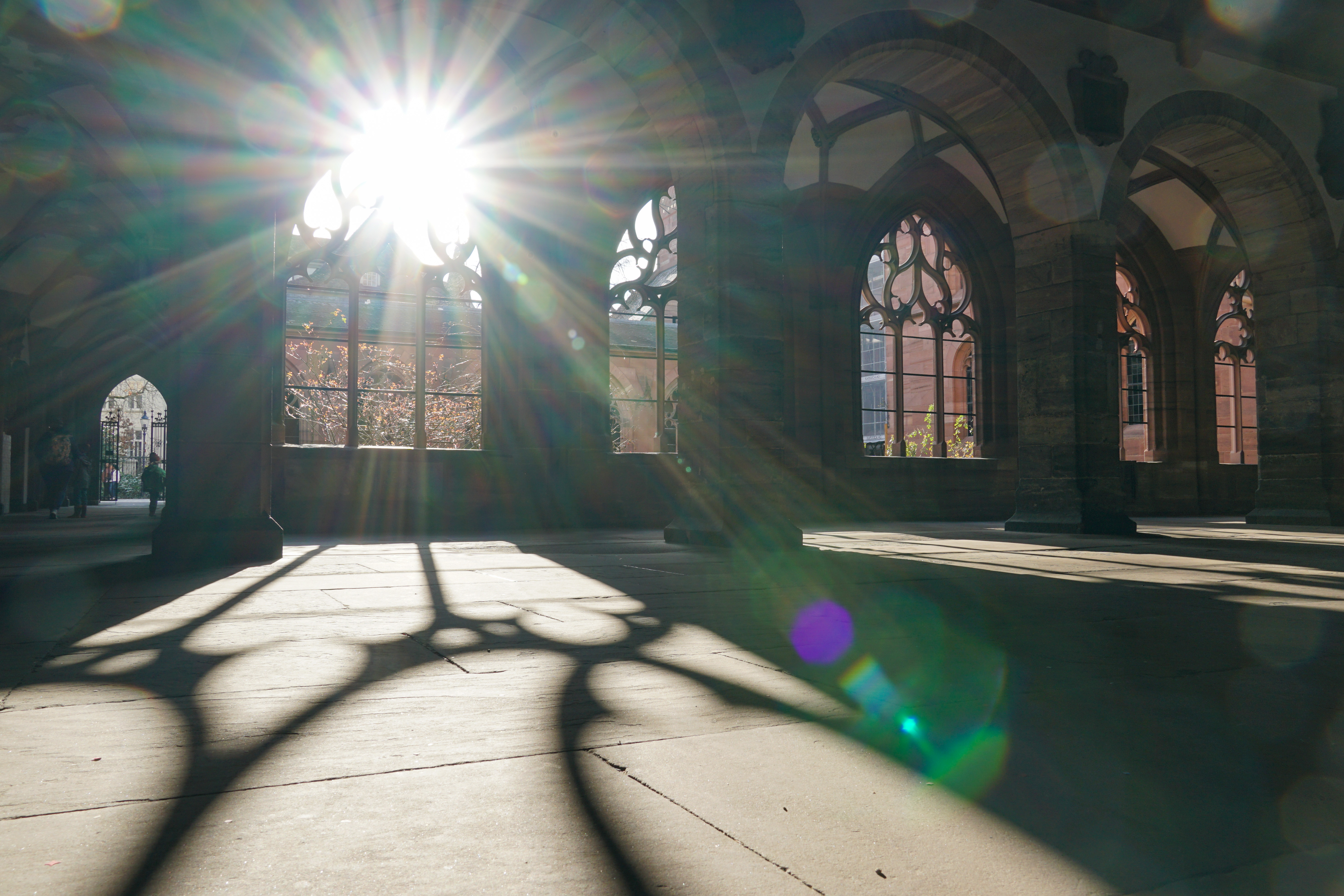 Sunlight streams through Gothic-style arched windows in a stone building, casting intricate shadow patterns on the floor. The bright sun creates lens flares and illuminates the interior, highlighting the ornate designs of the window frames.