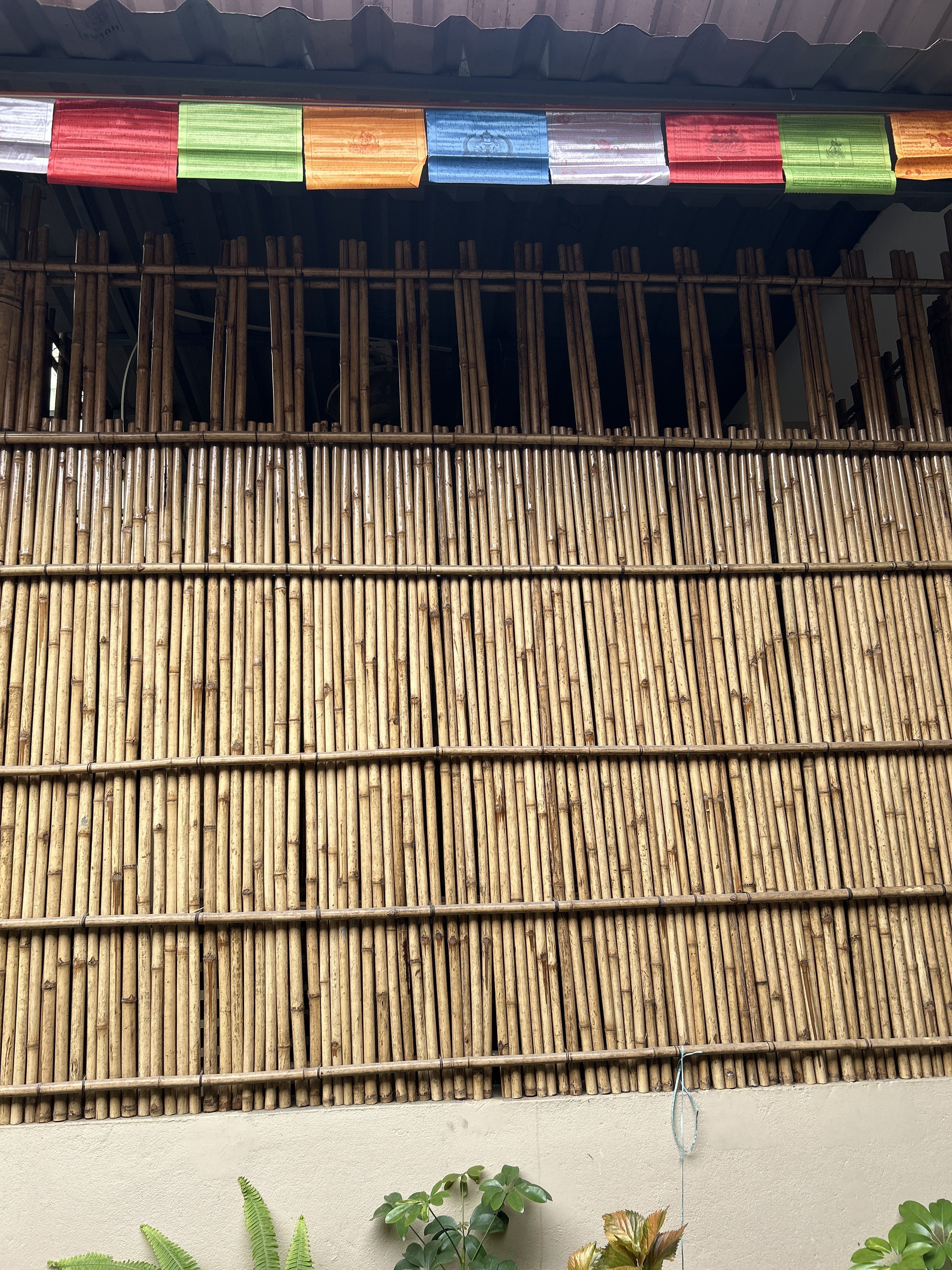 A bamboo fence is topped with colorful Tibetan prayer flags against a corrugated metal roof. Below, a few green plants are visible against a plain wall.
