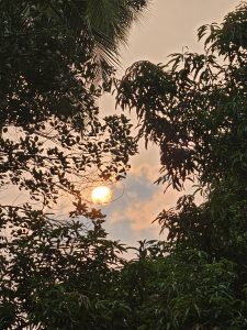 A bright sun peeks through the foliage (sunset), casting long shadows from the trees. Warm hues paint the sky in Kozhikode, Kerala, as the day ends. 