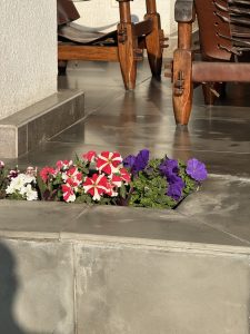 A stone planter with vibrant flowers, including red, pink, and purple blossoms, set on a polished stone floor. Wooden chairs with leather straps are partially visible in the background