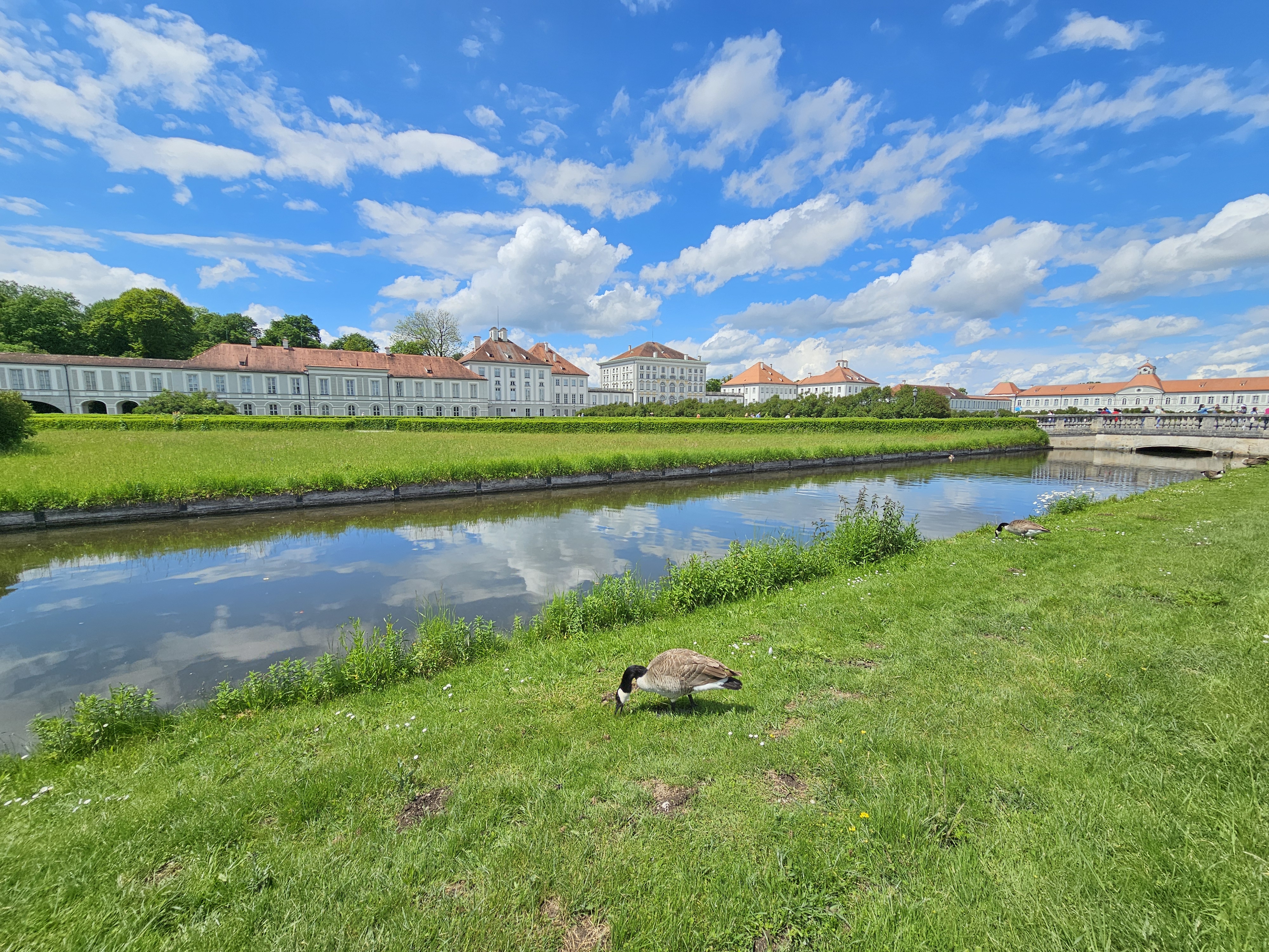 The Nymphenburg Palace in Munich, Germany, with a canal in the foreground and a few Canada geese grazing on the grassy banks. The palace, a large baroque complex, is visible in the background, with its light-colored buildings and red-tiled roofs.