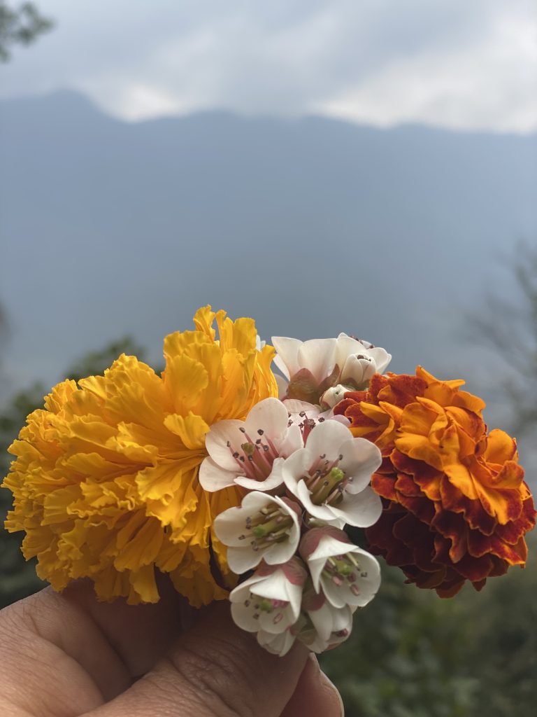 A hand holding a small bouquet of flowers, including yellow, red, and white blossoms, with a blurred mountain landscape in the background.