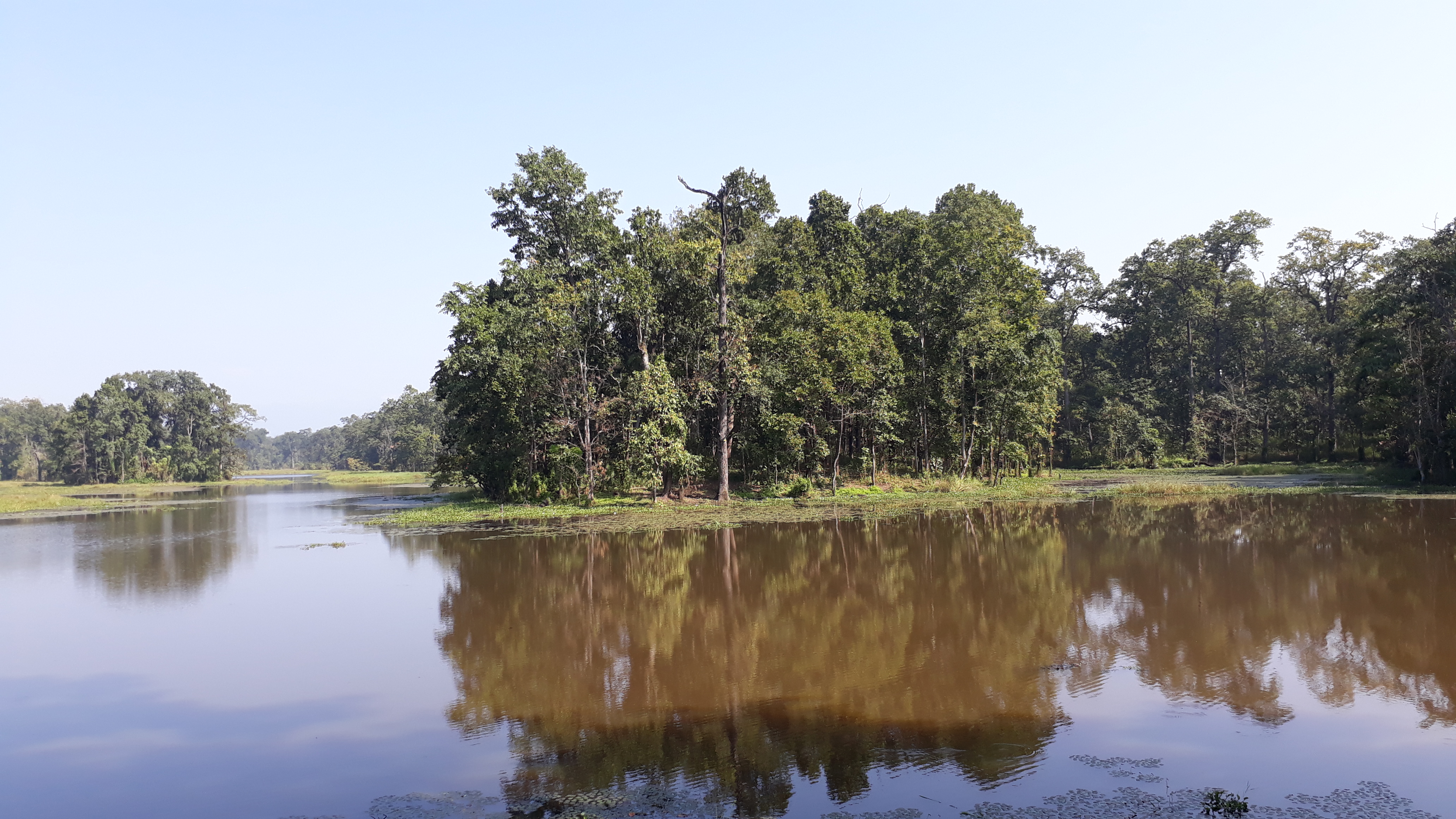 A serene lake surrounded by lush green trees, with the water reflecting the trees and the clear blue sky above.