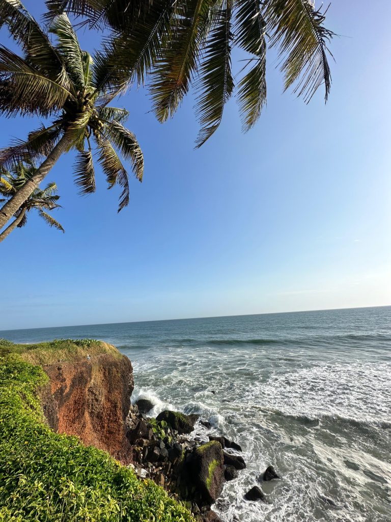 A coastal scene with palm trees in the foreground, a rocky cliff covered with greenery and moss, and waves crashing against the rocks, under a clear blue sky.