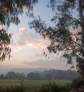 A peaceful countryside morning, where soft sunlight kisses the sky and misty hills embrace the horizon.







