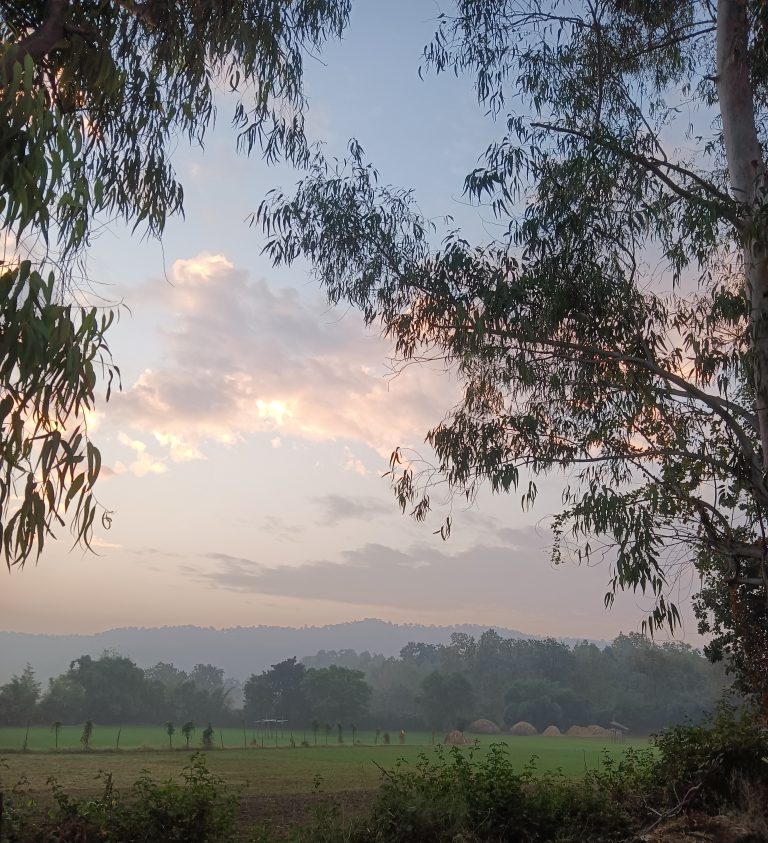 A peaceful countryside morning, where soft sunlight kisses the sky and misty hills embrace the horizon.