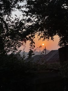 Silhouette of leafy branches framing a view of the sun setting on the horizon, with rooftops visible in the background amidst a warm, orange sky.