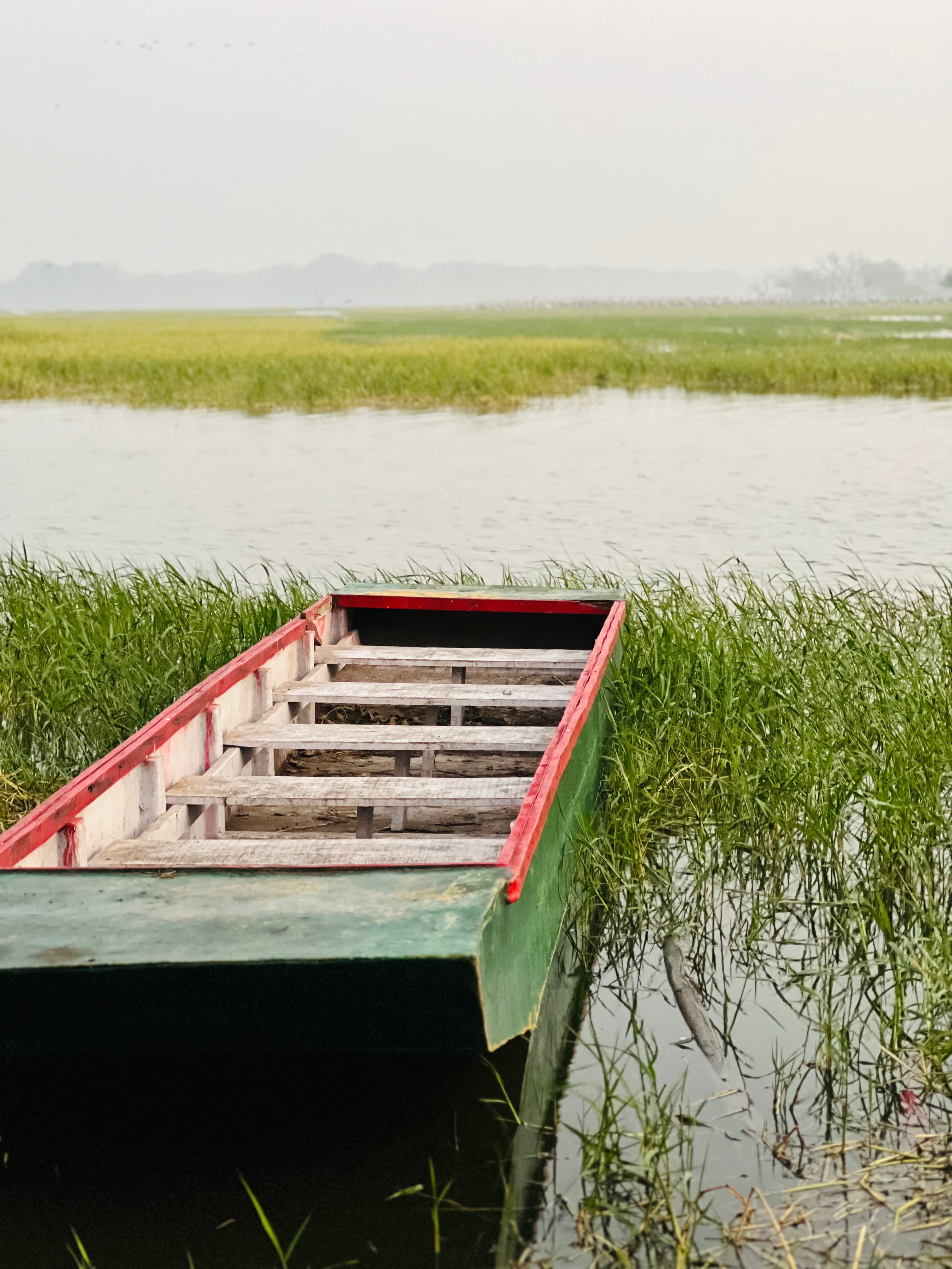 A small wooden boat with red and green edges is resting in a marshy area surrounded by tall grass, near a body of water. The background features a hazy landscape with distant trees and hills under a cloudy sky.