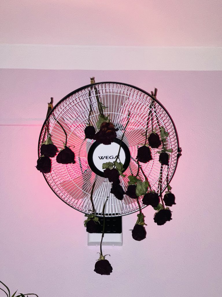 A wall-mounted fan with a protective cage adorned with dried roses. The fan is turned off, and the surrounding wall is bathed in a pinkish-red light.