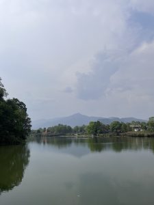 A serene fewa lake reflects the surrounding landscape, framed by lush green trees on the left and low hills in the background.