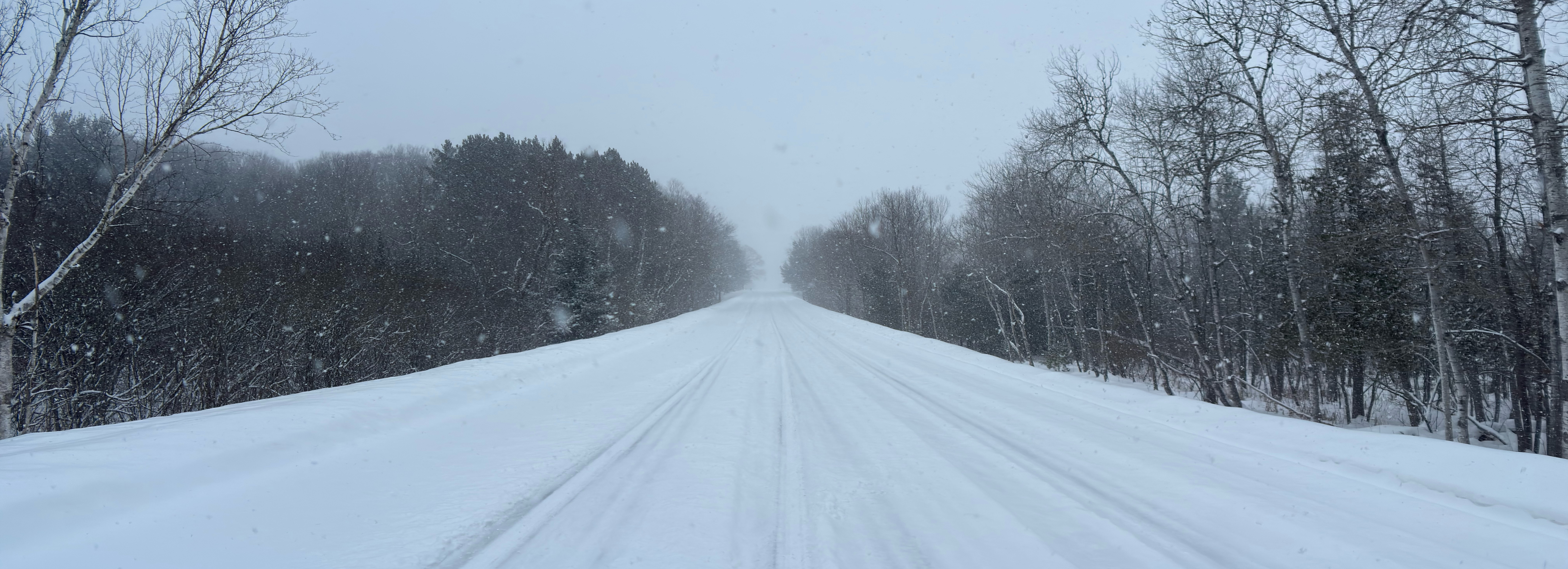 A snow covered road extends into the distance, dark forested swamp on either side. There is snow in the air.