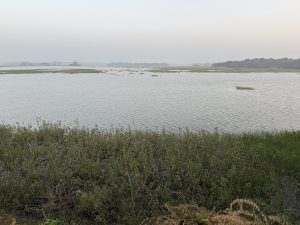 A calm, misty river landscape with scattered greenery, still water, and distant trees under a grey sky. 
