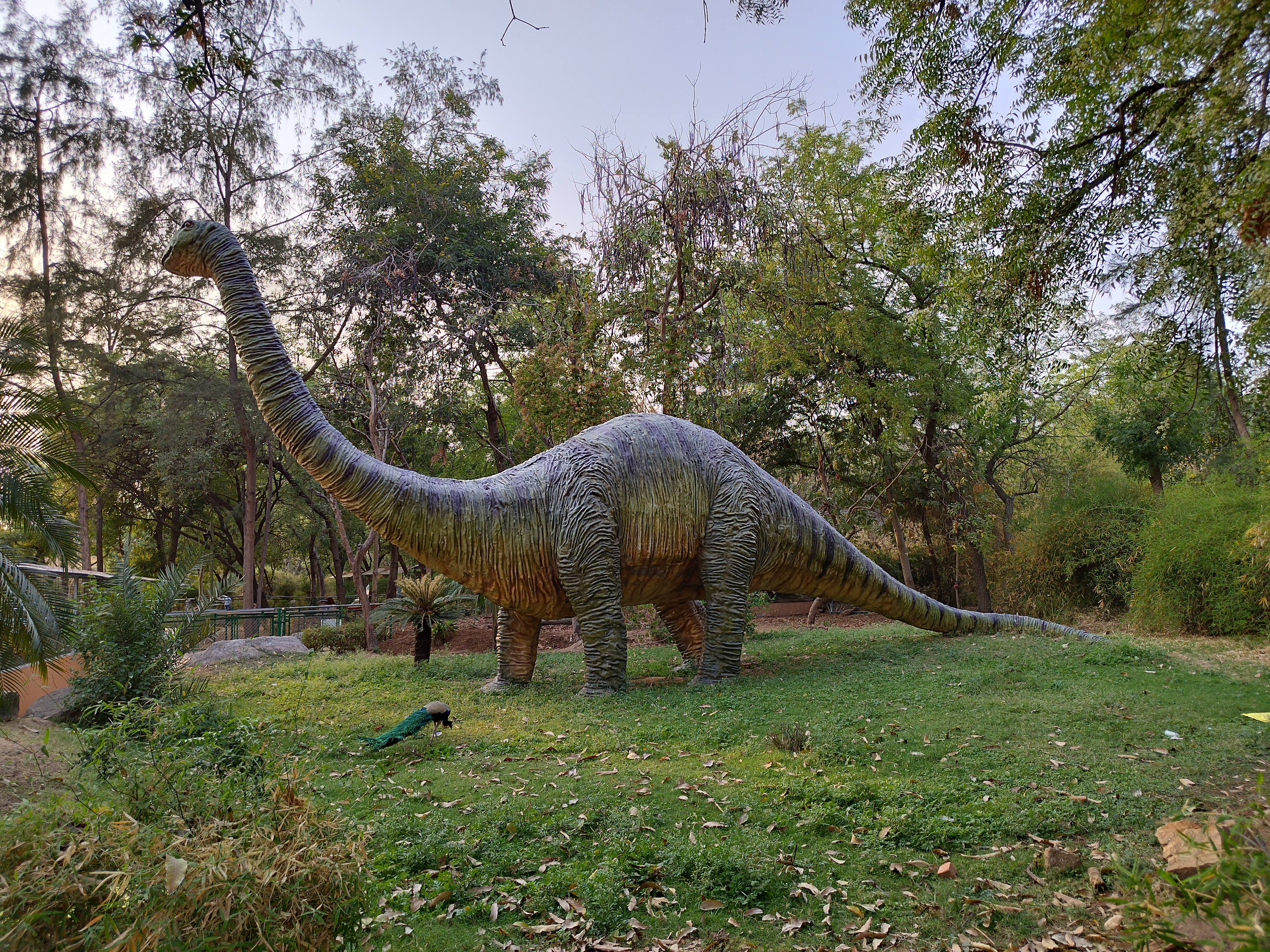 A large dinosaur statue stands on a grassy area surrounded by trees, with a peacock walking nearby in the foreground.
