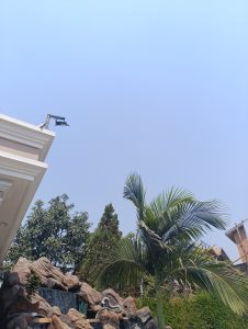 A clear sky with a portion of a building roof in the top left, featuring a mounted light fixture. Below, a landscaped garden with a rock waterfall, tall palm tree, and a variety of other lush green trees and plant life.