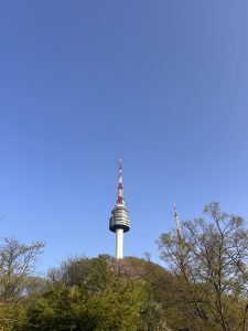 A tall communications tower rises above the trees against a clear blue sky.