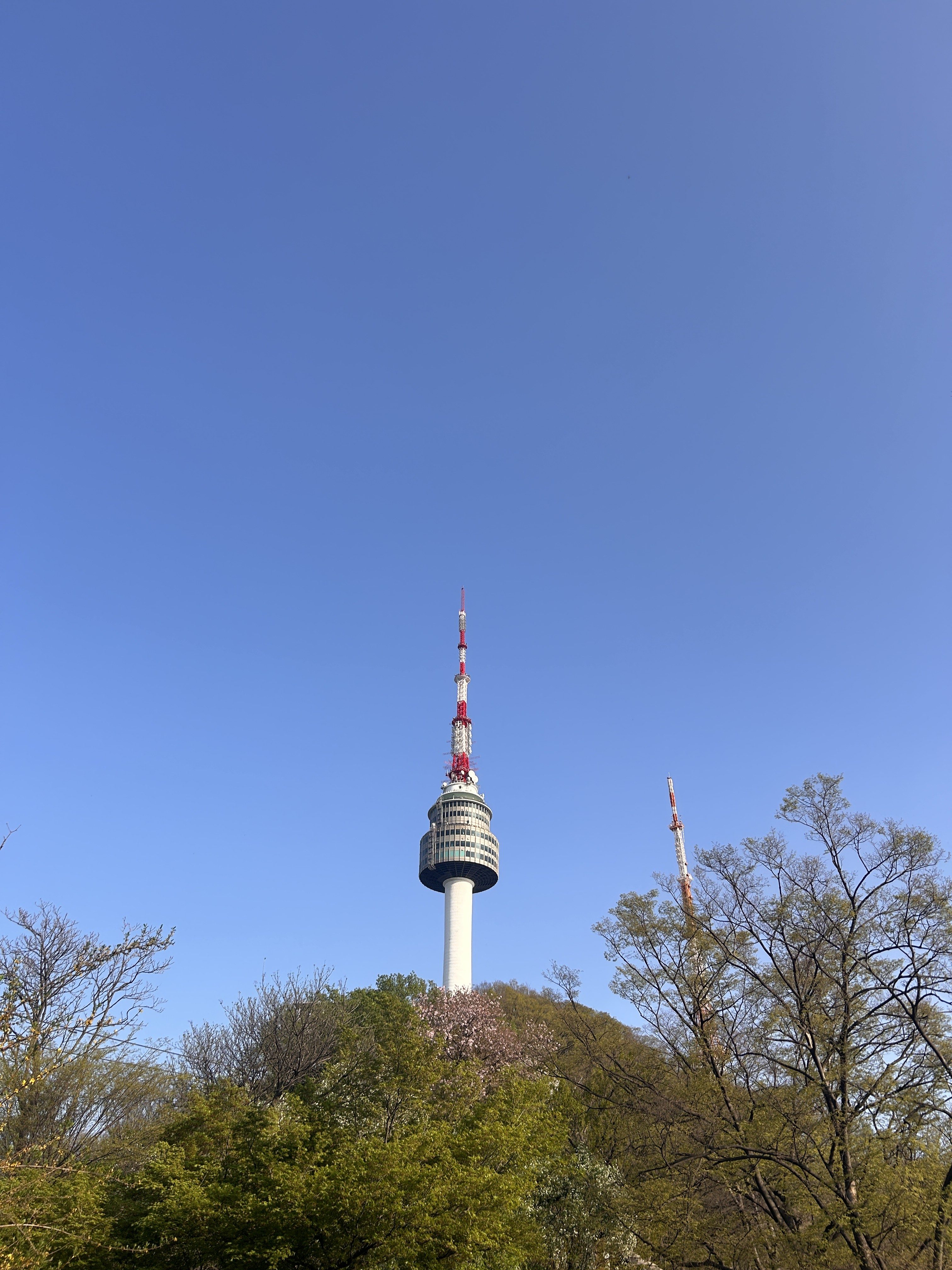 A tall communications tower rises above the trees against a clear blue sky.