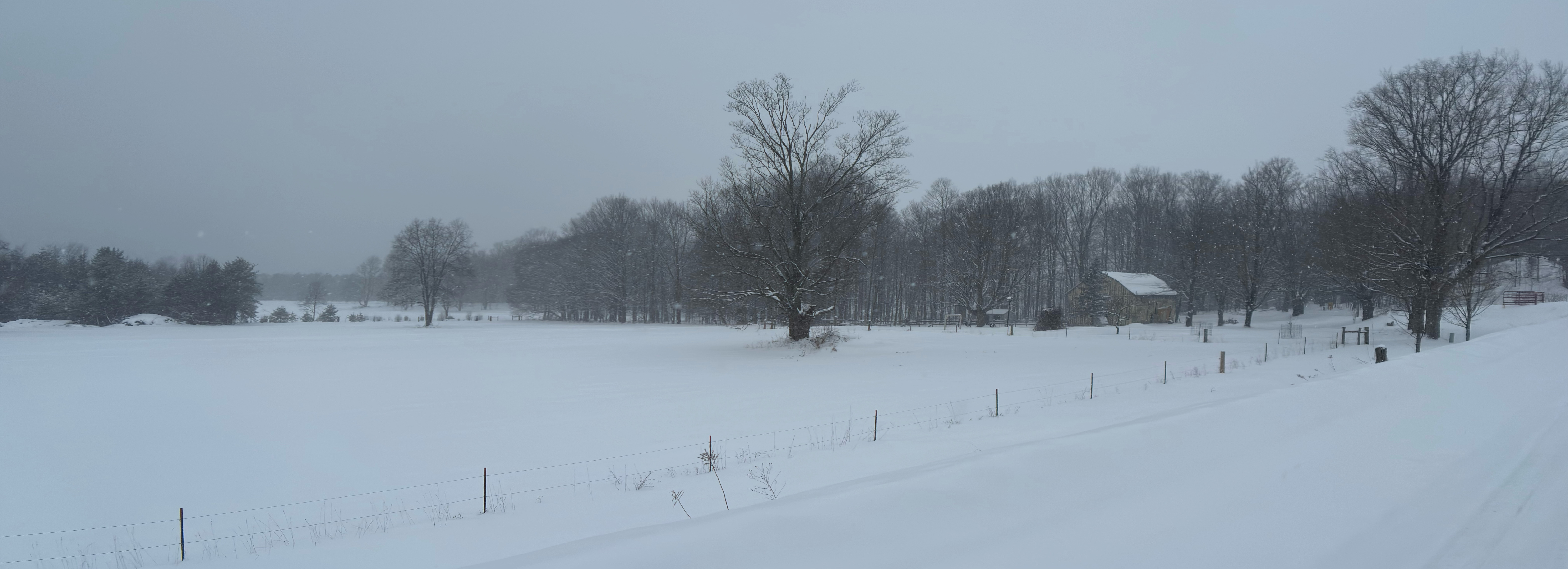 A snowy field with trees in the distance, a farm with a barn on the right.