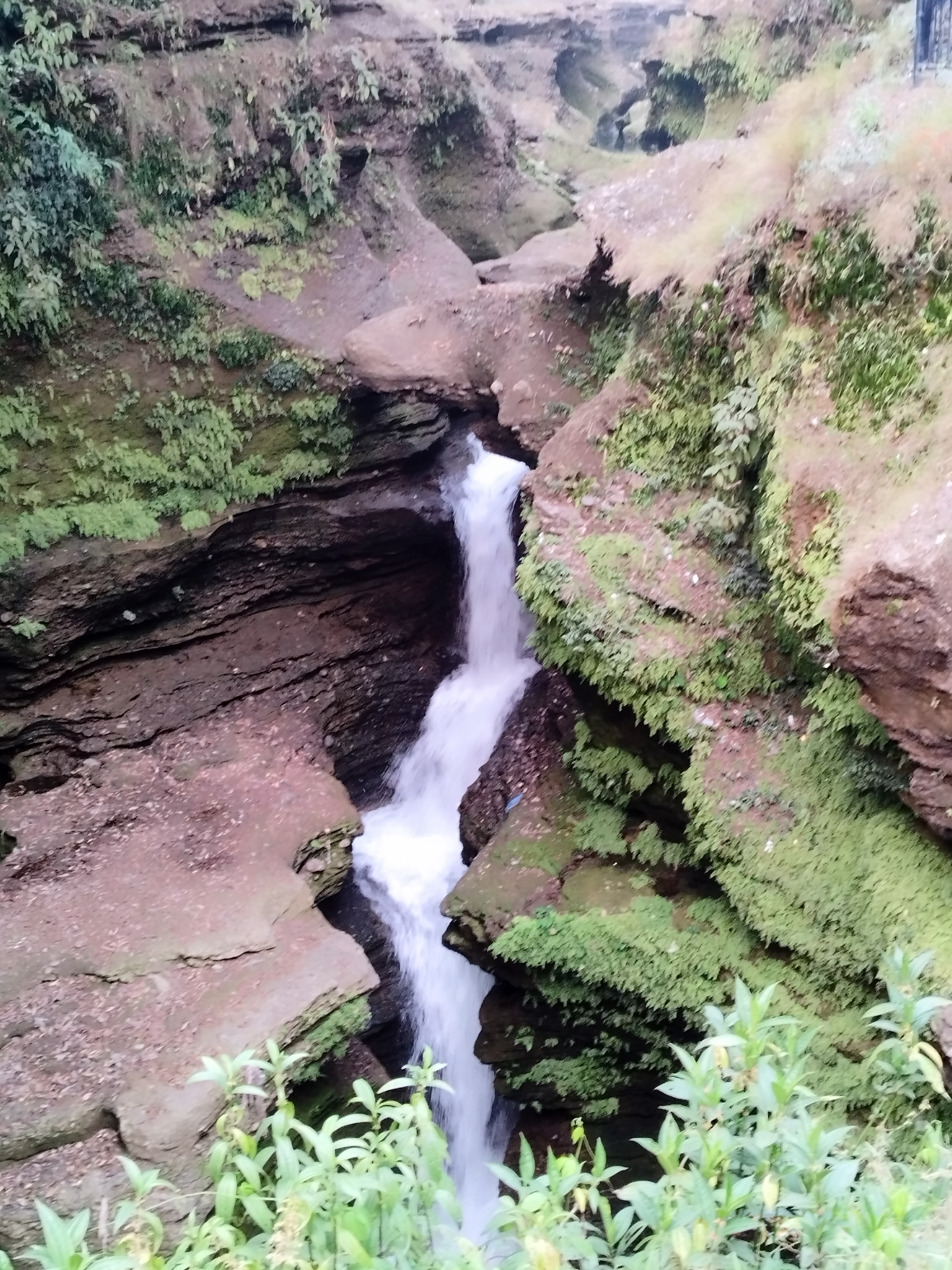 A devid fall waterfall cascading through narrow rock formations, surrounded by lush greenery and moss-covered rocks. The water flows down into a crevice, creating a scenic natural view.