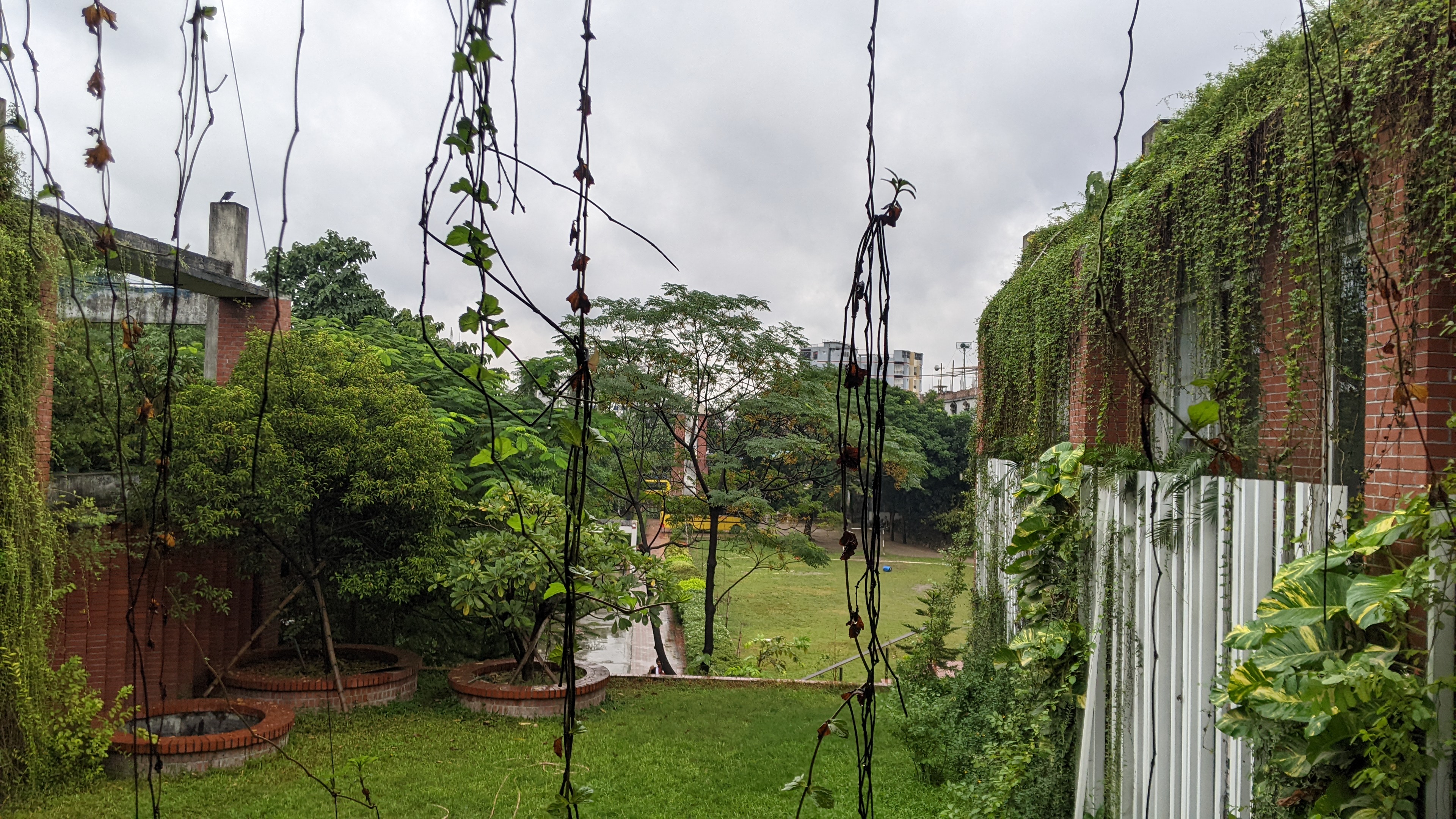 A lush green garden with various trees and plants, surrounded by red brick walls covered in vines.