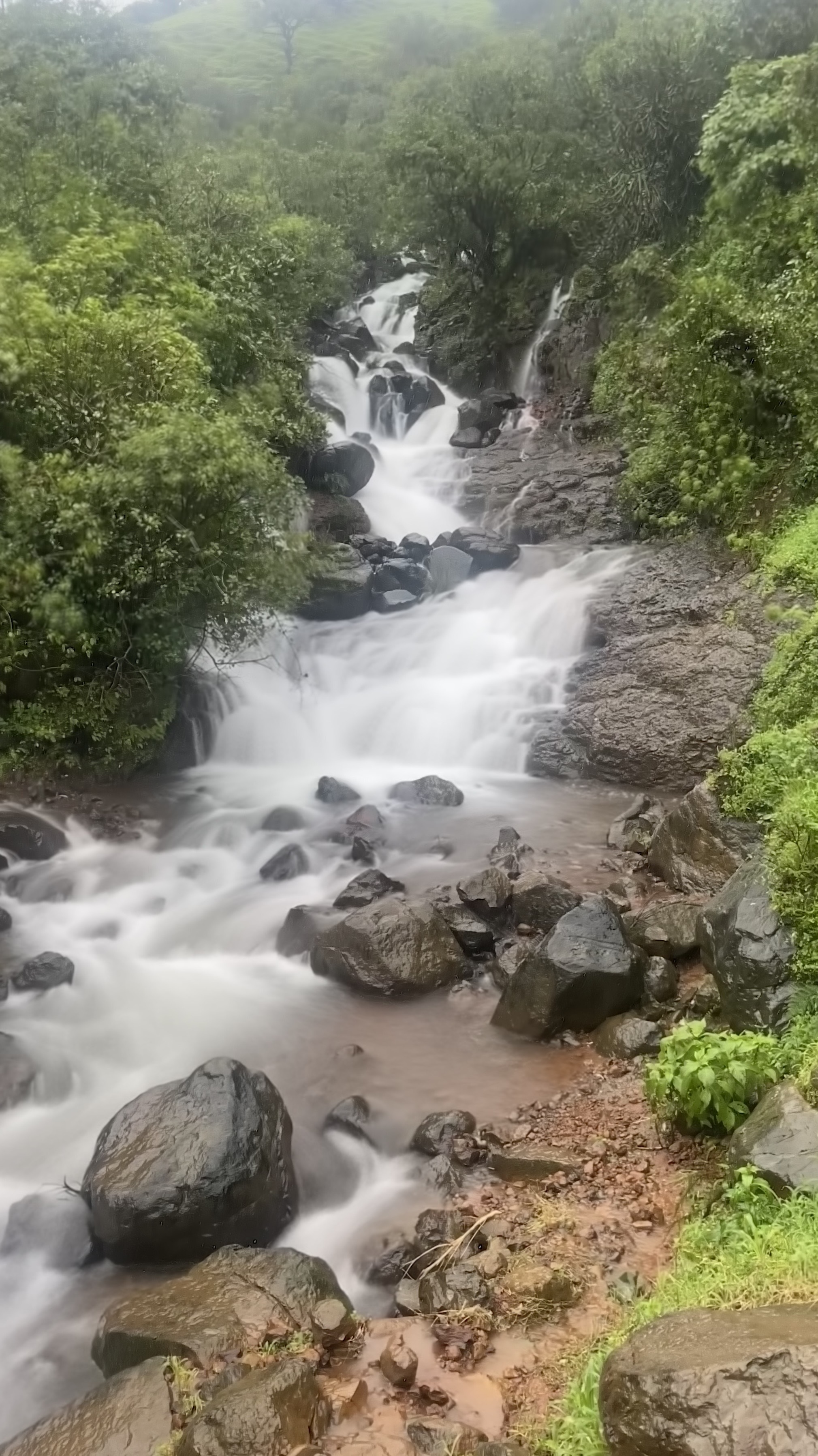 A cascading waterfall flowing over rocks surrounded by lush green trees and foliage in Rainy Season.