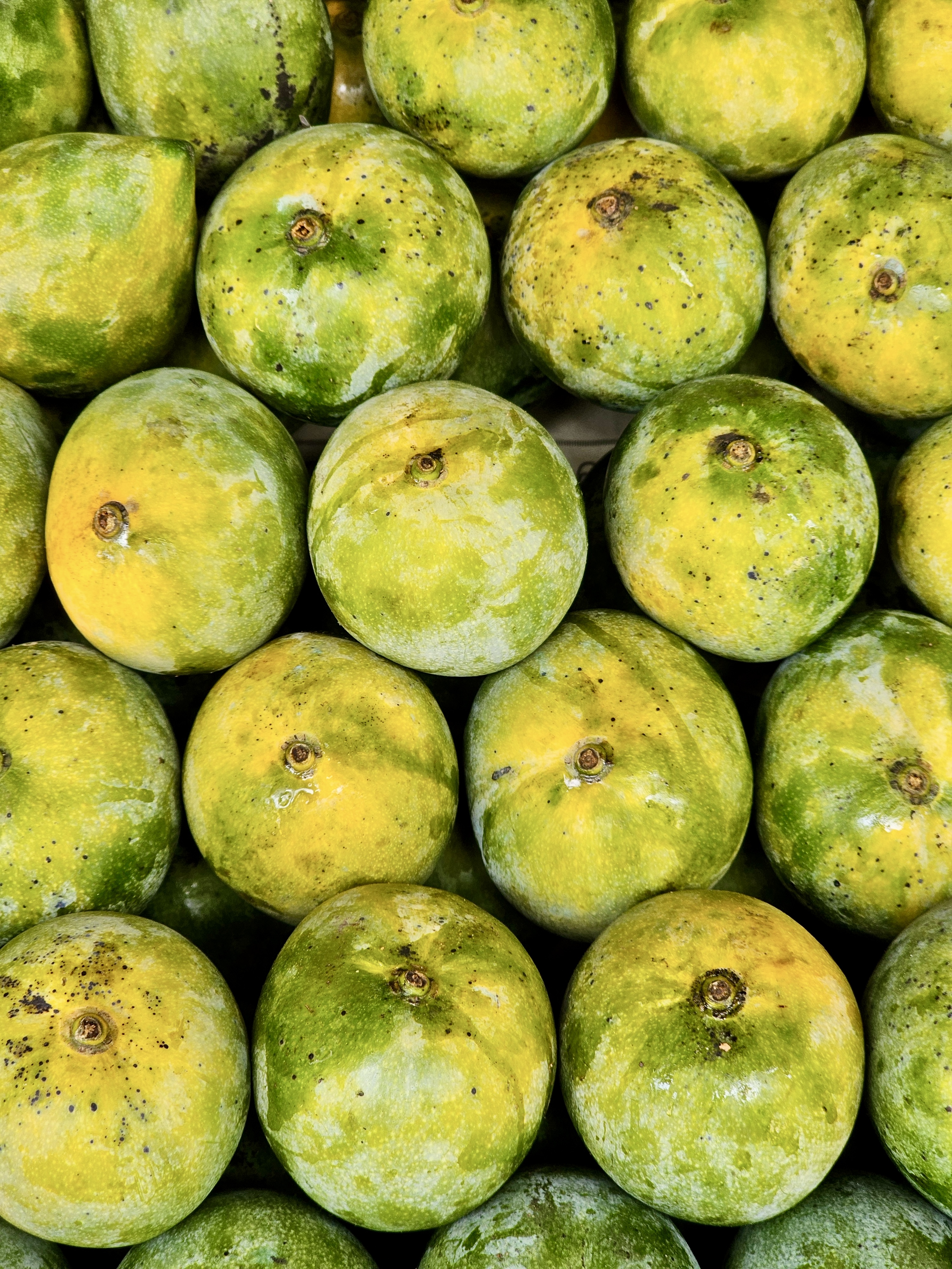 A close-up of a pile of Malgoa mangoes, also known as Kalpadi mangoes, characterized by their roundish-oblique shape and green to yellowish skin with dark spots. Captured from a market in Kozhikode, Kerala.