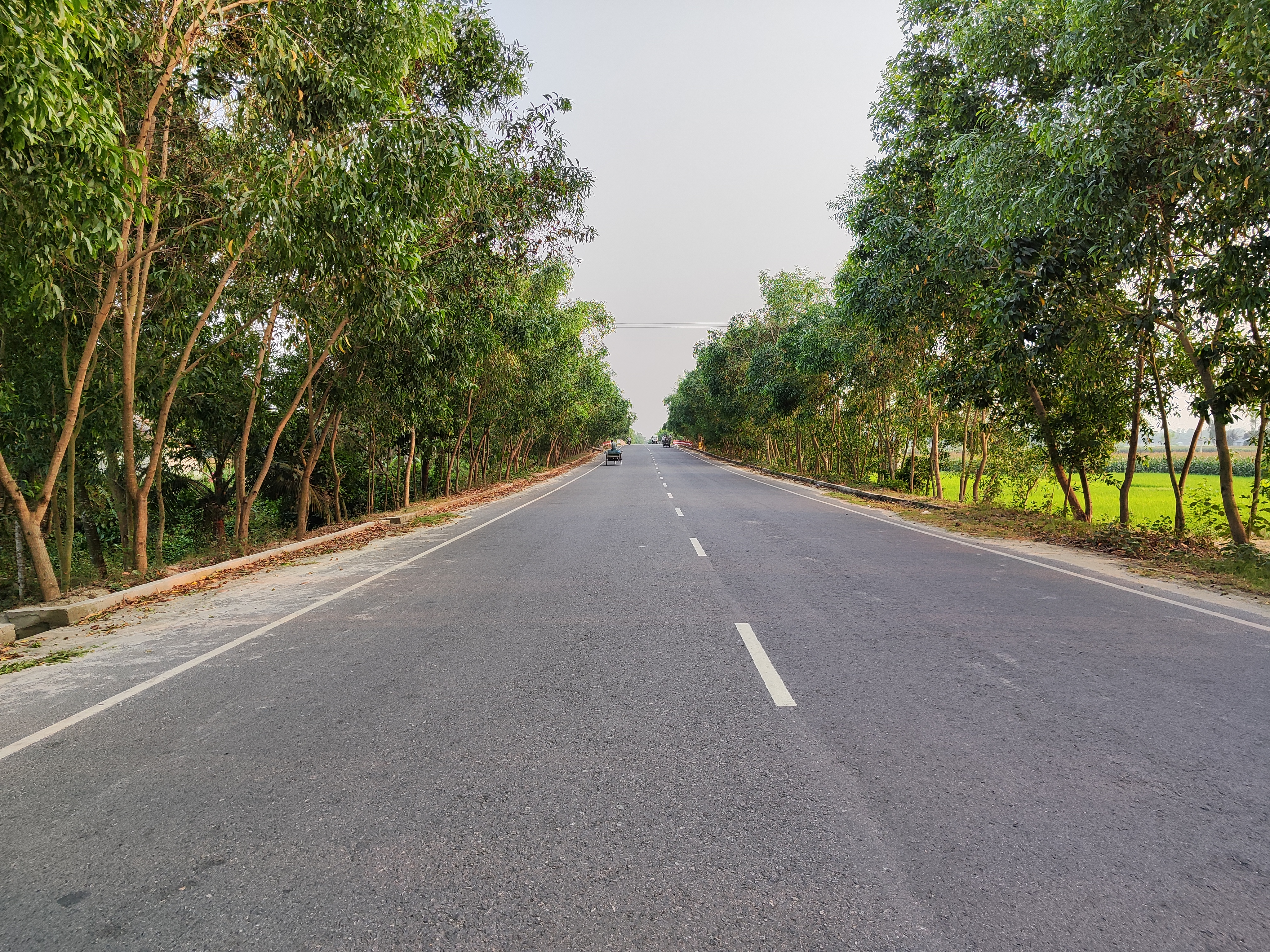 A peaceful road under a clear blue sky