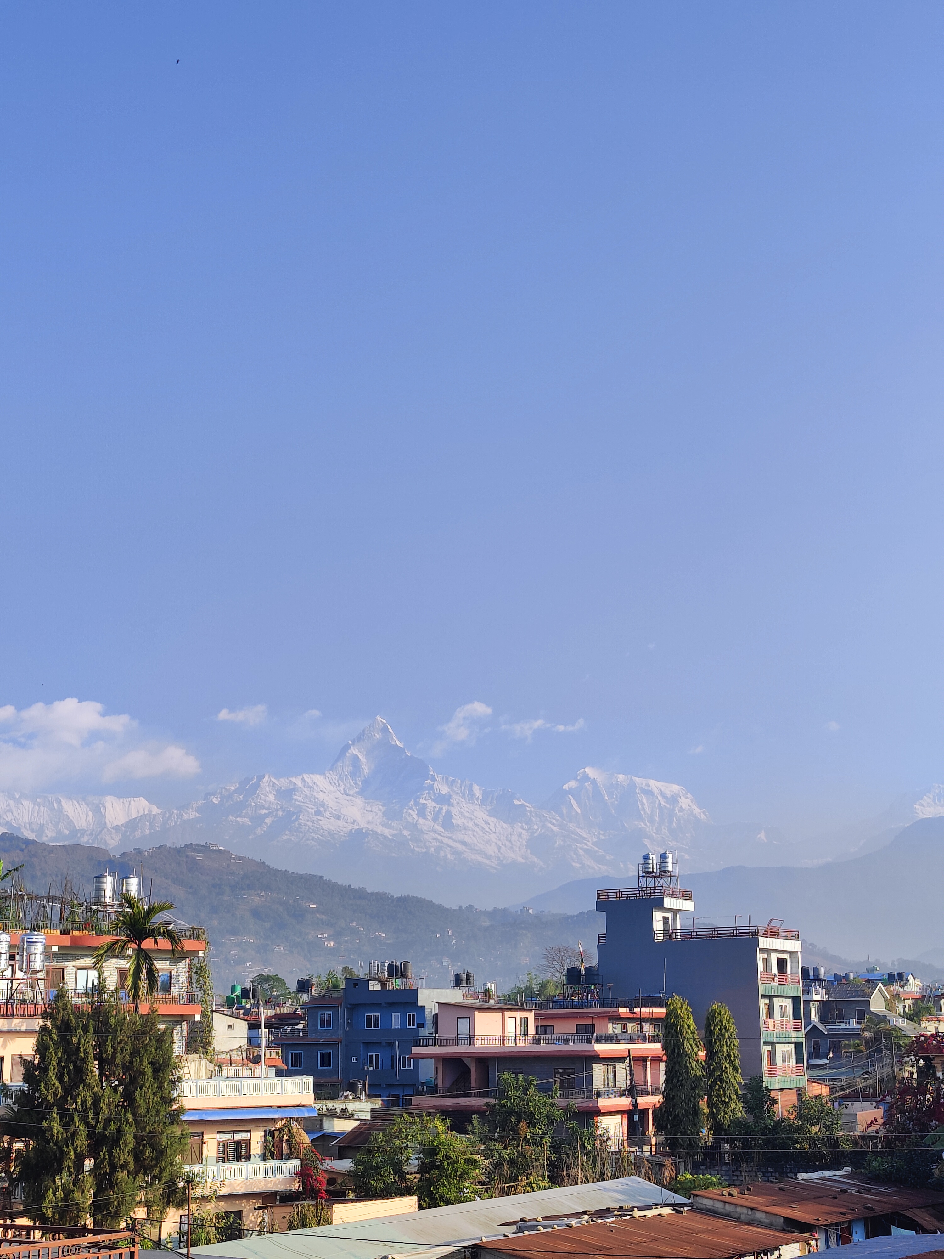 A cityscape view with colorful buildings in the foreground, surrounded by trees and foliage. In the background, snow-capped mountains are visible under a clear blue sky.