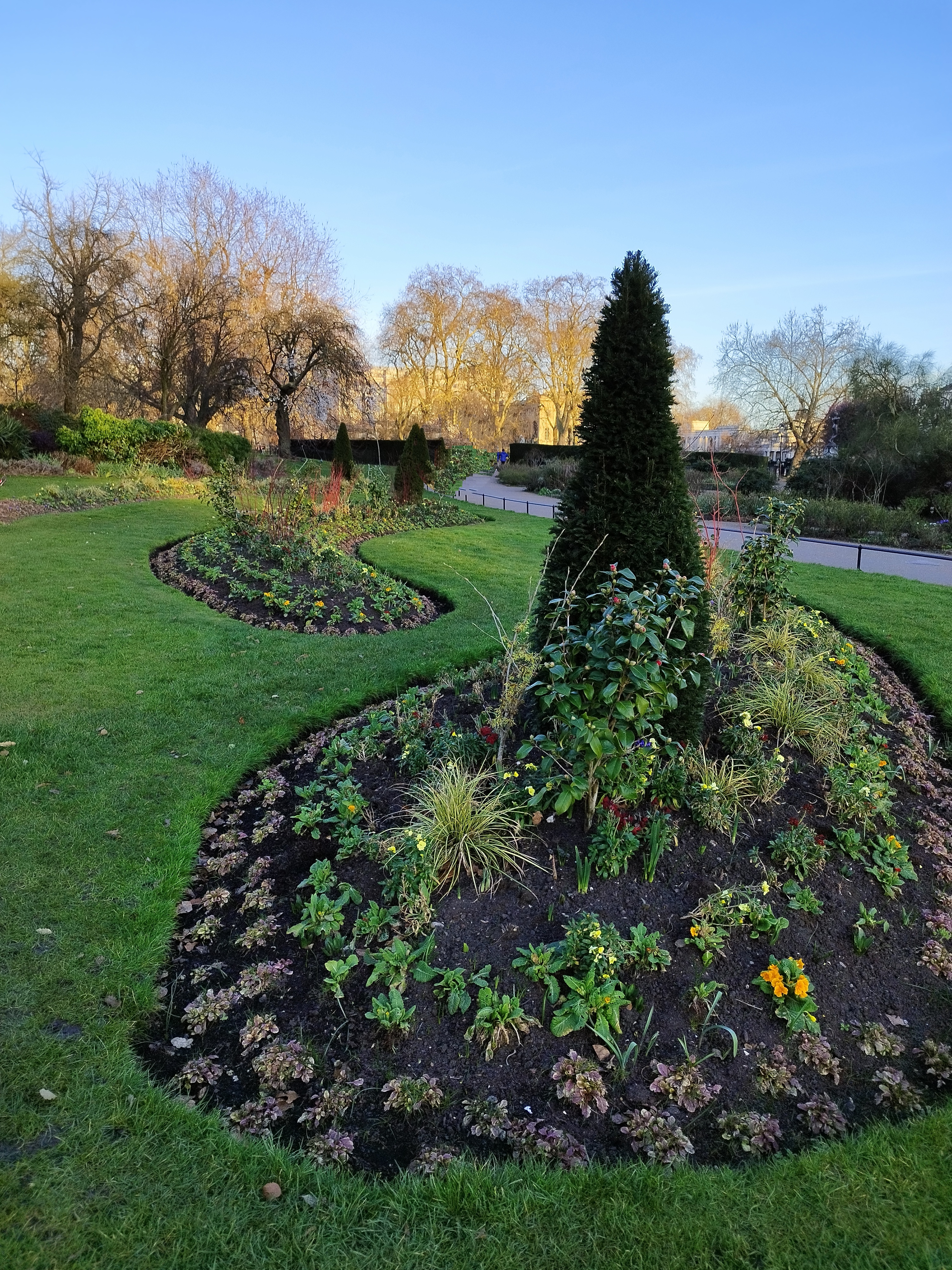 A well-maintained garden with neatly shaped flower beds and varied plants, including a prominent cone-shaped evergreen shrub