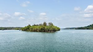 A serene view of a small, lush island surrounded by calm water, with dense green vegetation and trees. The sky is partly cloudy, and there are gentle ripples on the water's surface