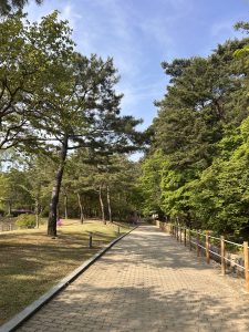 A scenic park pathway lined with trees and greenery, featuring a paved walkway that gently curves.