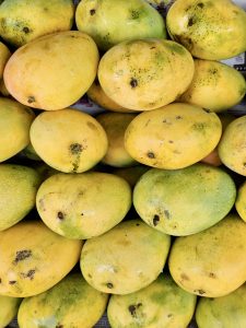 A close-up of a pile of Banganapalle mangoes, also known as Safeda mangoes, which are characterized by their bright yellow skin and slightly oval shape. Captured from a market in Kozhikode, Kerala.